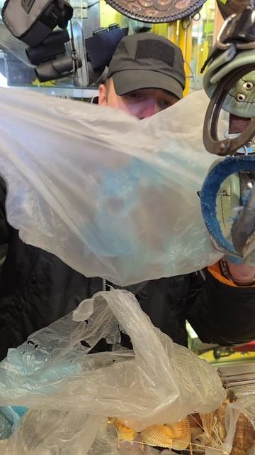 E9bd8687704d123897bfa23a136a7cc6