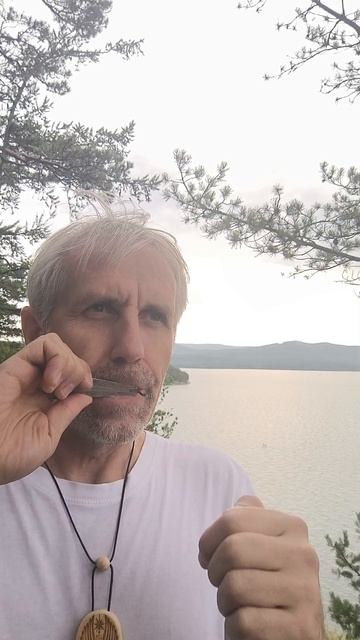 0a66eff91b21ede4a5788f8cae11f69c