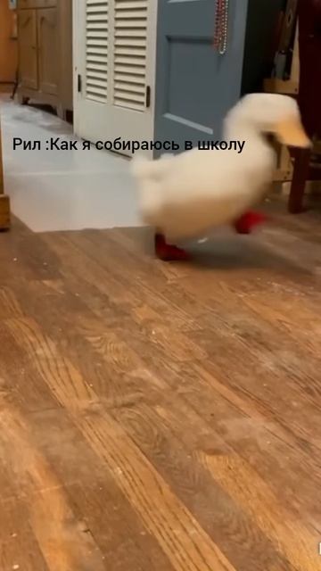 Кто такой же? Ставьте +в комментариях если такие же