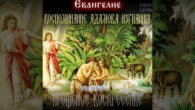 Прощённое Воскресение. Адамово изнание. Мф,6;14-21