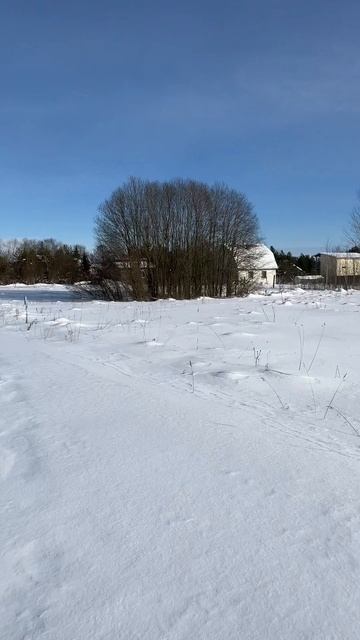 Истинка 10 соток