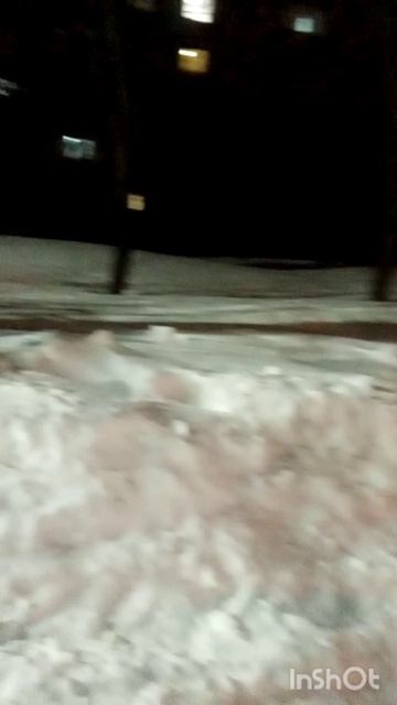 Вечерняя прогулка с Оскарам.. ✌️ Зима уходит!