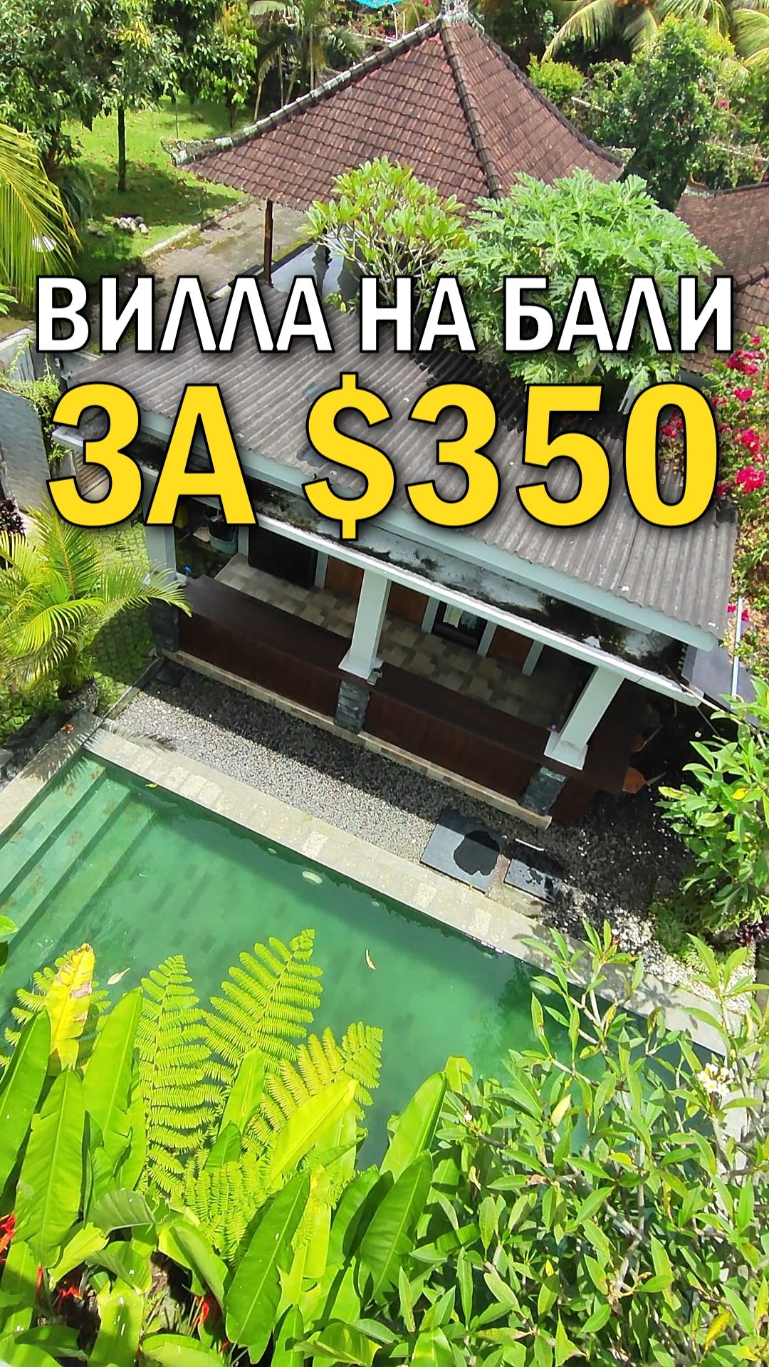 Вилла на Бали за $350