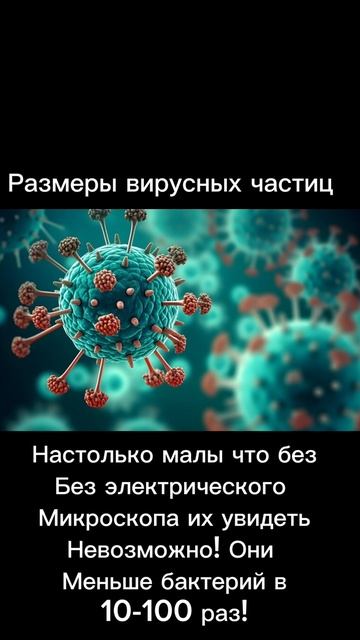 Интересные факты о вирусах
