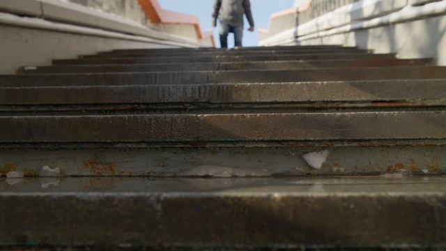 Февраль в Нескучном саду