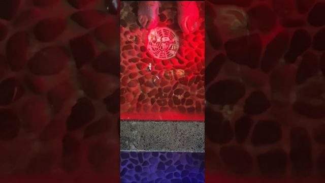 Песочная бухта, СПА...