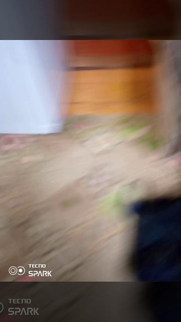 мои ктики чек