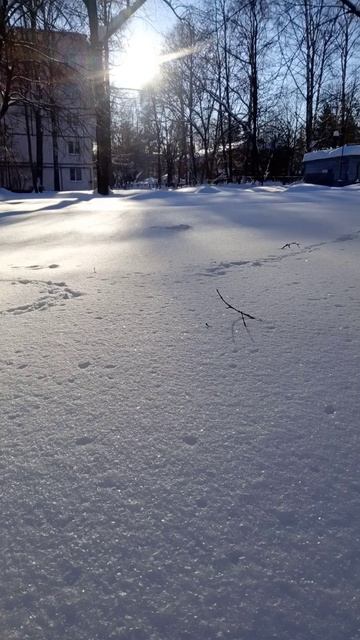 снег и солнце