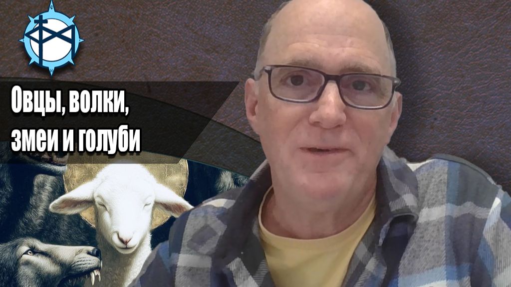 Овцы, волки, змеи и голуби