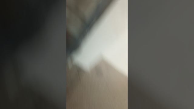 я снял видео про скейт борд