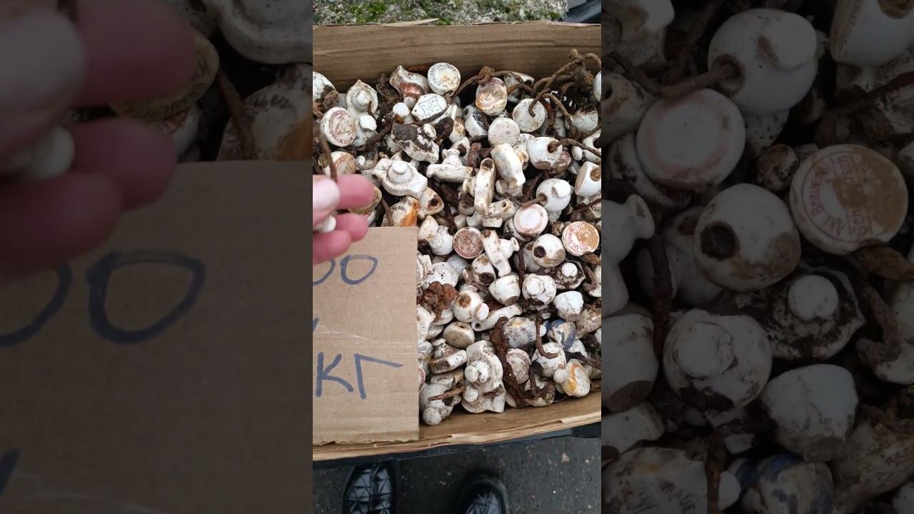 1ac53843e289ed7c39a7a5d4e85e3a1f