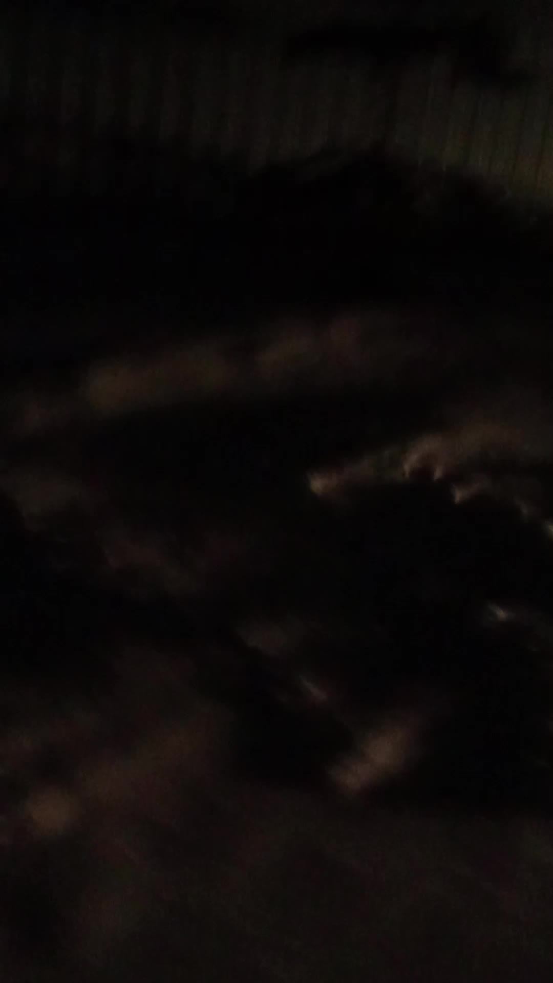 гуляю с собакой ночью