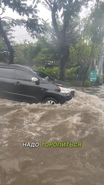 Кратко о погоде на Бали