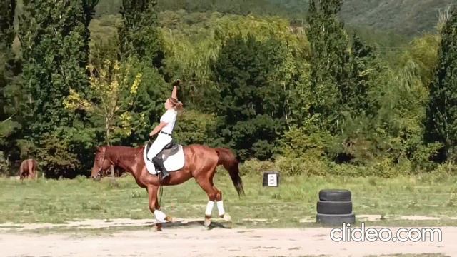 Джигитовка. Начало. (Мария)