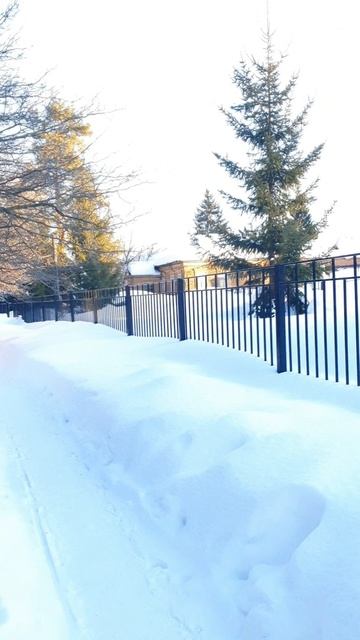 314269959f775ba648b89a2a3a9e63e7