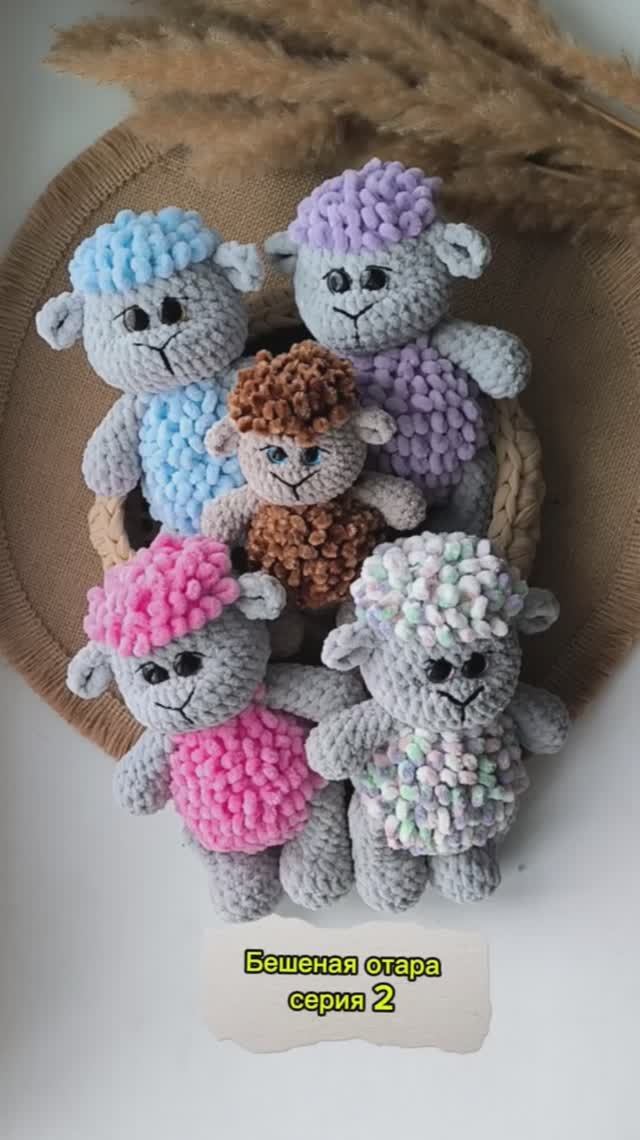 Бешеная отара . Февраль