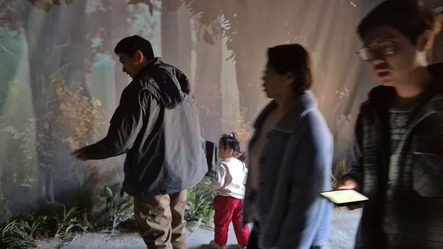 Нанкинский зоопарк. Интерактивная картинка для малышей