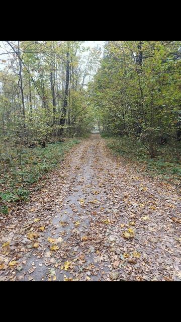 Ока вблизи Локации №4