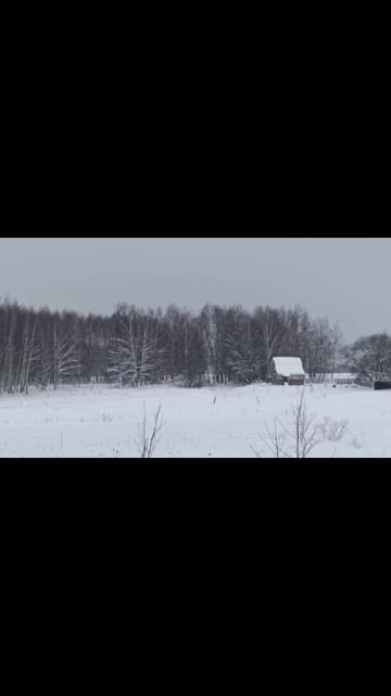 Земля От Государства_Локация №3