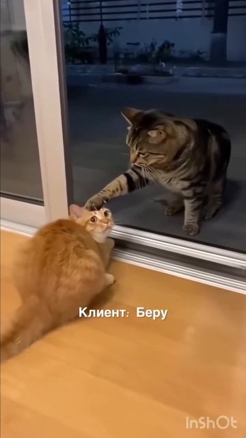 Лучшее предложение на старте #недвижимость