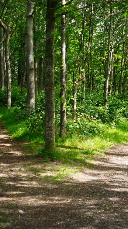 Публичное выступление Егора Глазкова на муниципальном конкурсе Way To Success