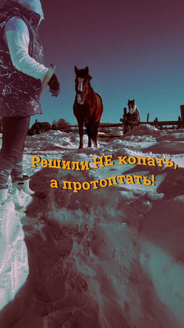 Решили не копать, а протоптать!