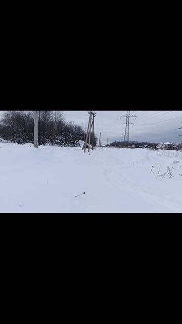 Земля От Государства_Локация №4