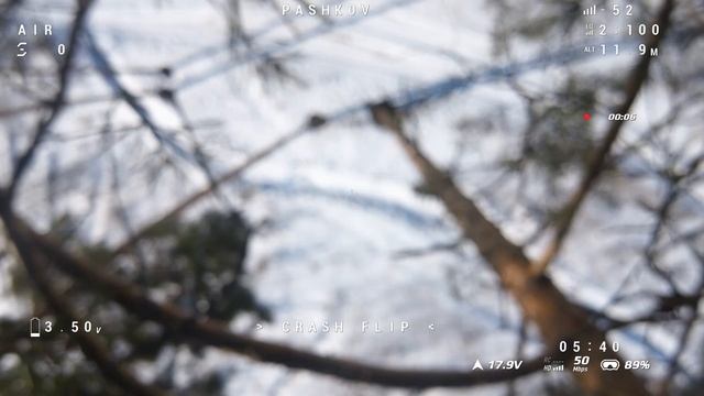 Застрял на дереве