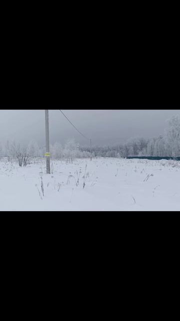 Земля От Государства_Локация №1