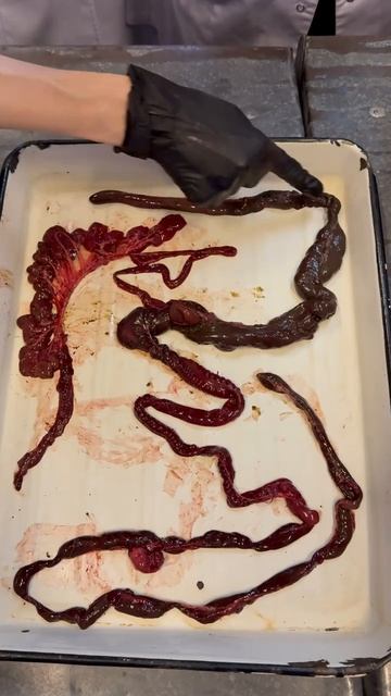 Кишечник зайца