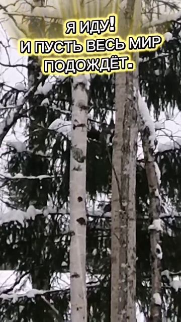 Я ИДУ! И ПУСТЬ ВЕСЬ МИР ПОДОЖДЁТ!