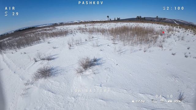 До того, как застрял на дереве