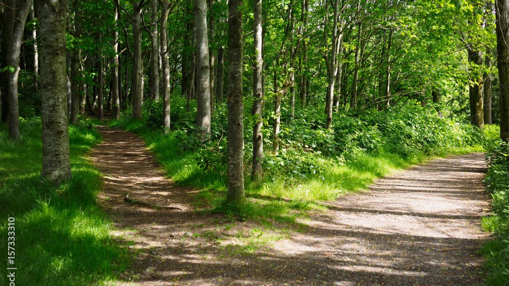 Публичное выступление Егора Глазкова на муниципальном конкурсе 