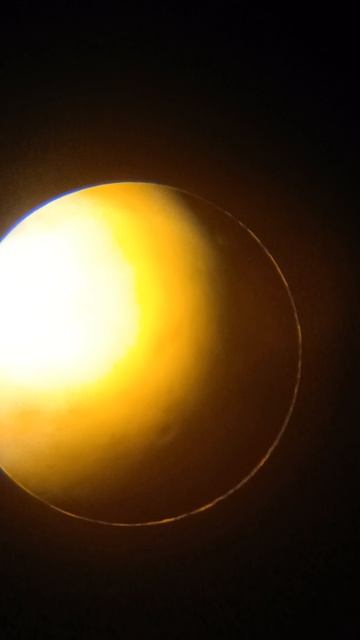 микроскоп🤫