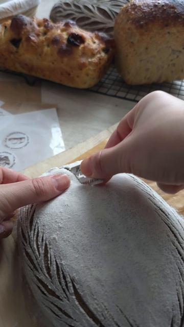 Одним зимним утром ☀️#хлеб #хлеб на закваске #закваска #ржаной на закваске  #sourdoughbread