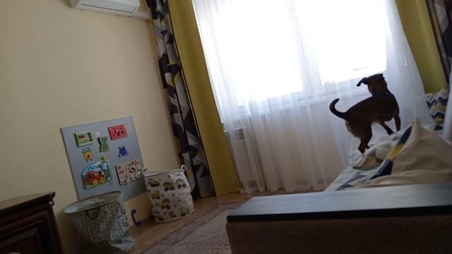 Барнаул /Мои новости/