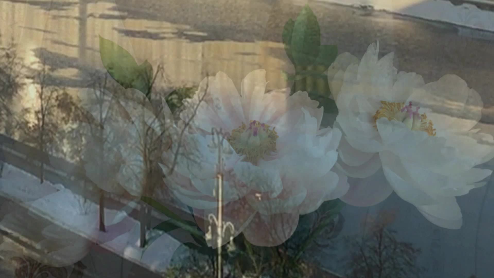 Утро манит к окошку рассветом