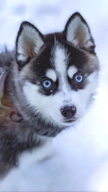 C150e713b88f98898daf061aea11413a