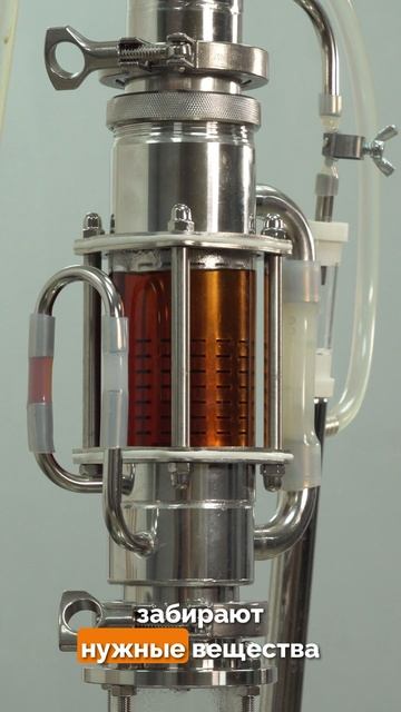 После этого твои настойки уже никогда не будут прежними