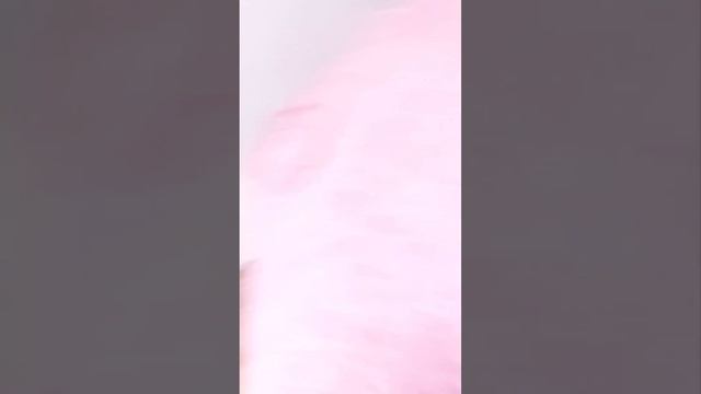 краш тест машины