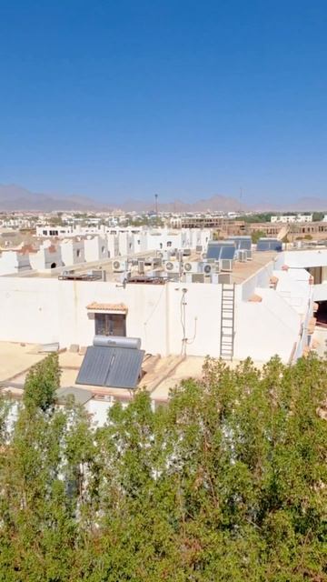 Красиво жить не запретишь 😉 Feat. TheKeeper #отдых #путешествие #египет