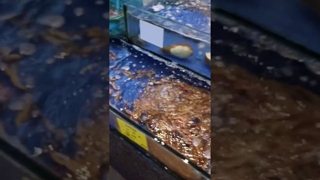 Китай 2025 - когда путешествие в подарок 🎁🏮🔥