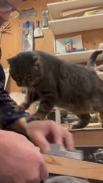 Я тебе так помогаю, а ты меня не благодаришь. Дай хоть хвостик рыбки.