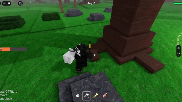 Roblox 2026-02-26 10-29-17