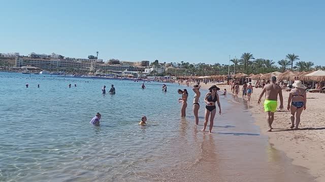 Ghazala Beach ...Ghazala Garden ...Шарм-эль-Шейх. Обзор отеля 2026 г. Моё мнением