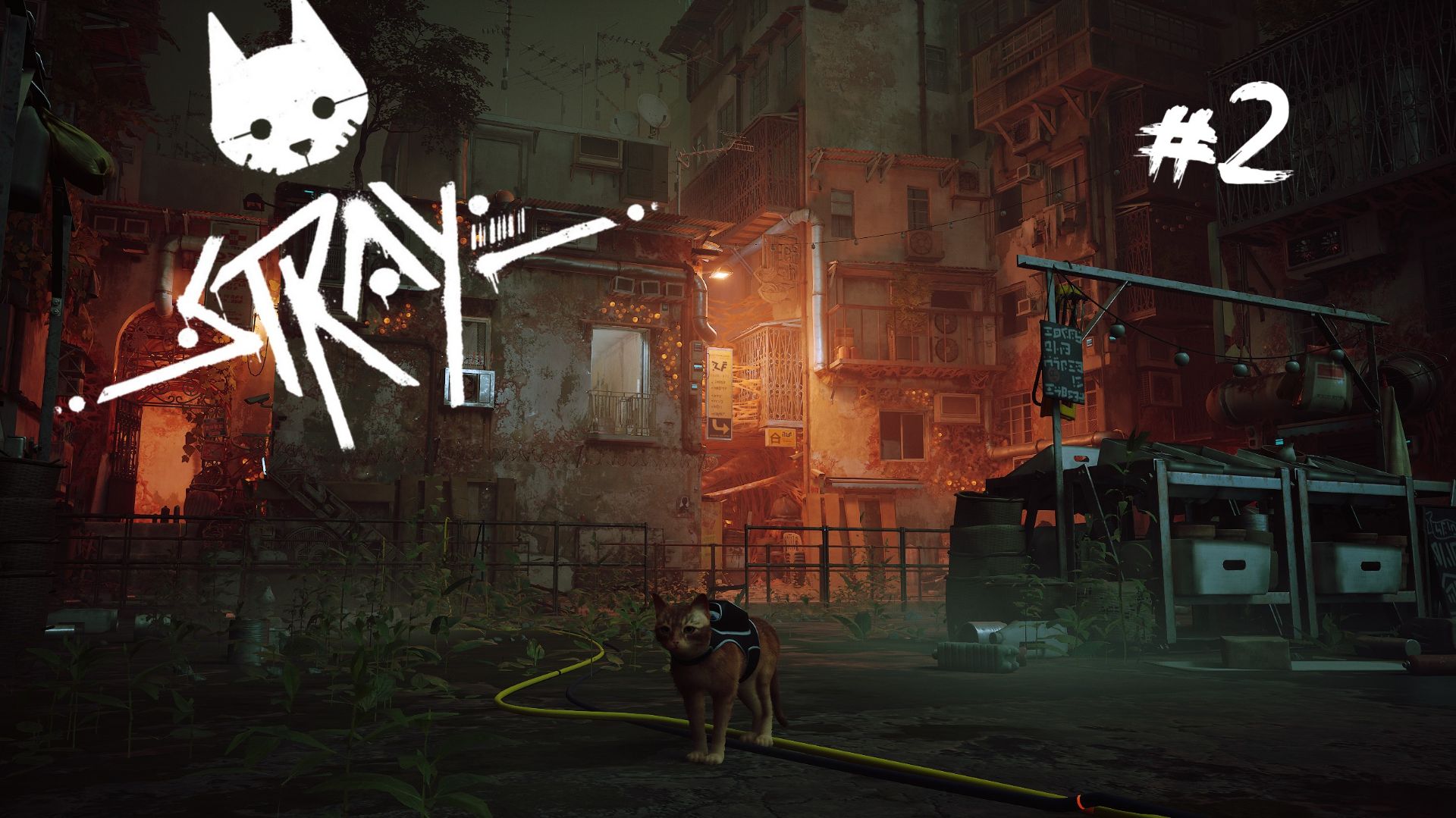 Stray #2 За пределами трущоб.