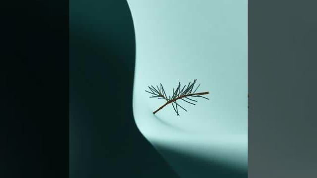 52988a28a7cc8063420dfe91889a8979