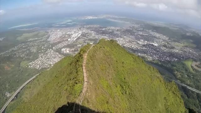Хавали в Горнолухе. Собаки 🐶 в масках акул 🦈 и Клетка для созяев в собачьем питомнике