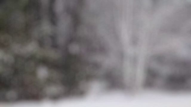 Замер крик невернувшимся эхом...
