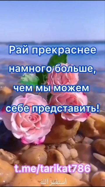 F4be686ec16de2f7bf82f780d6722863